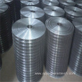 Galvanized Welded Wire Mesh for Agriculture Construction